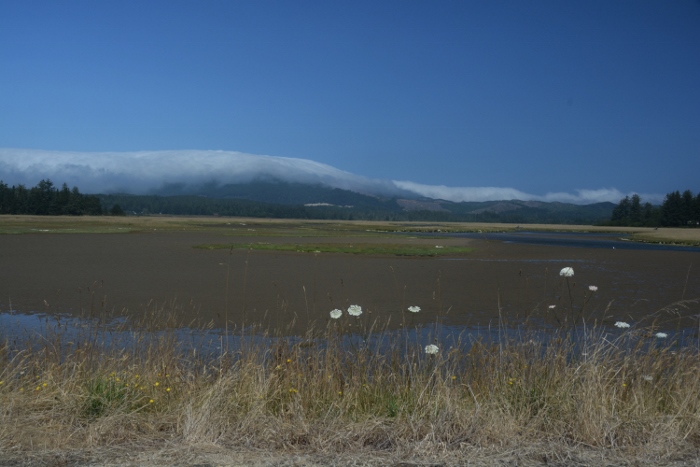 Clay Myers SNA on Whalen Island